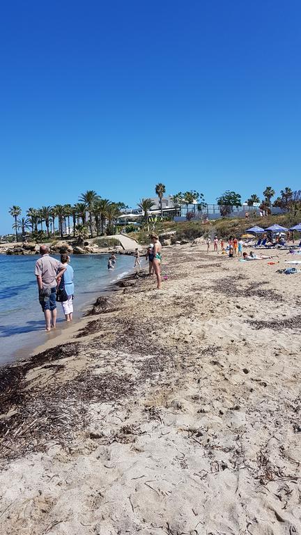 Jasmin Gardens * Pafos